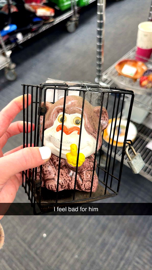 carmmieecat image ~ Altpins