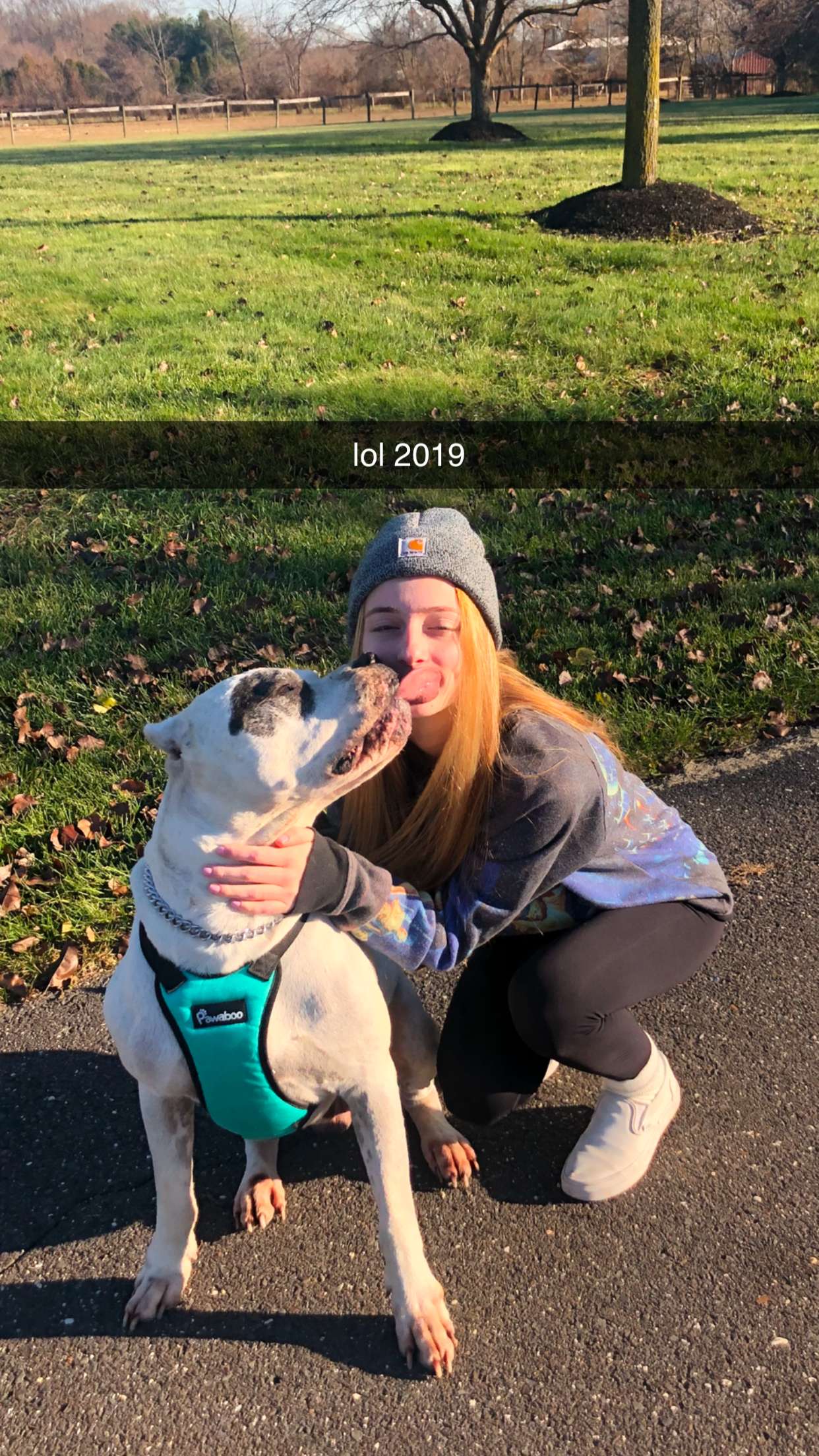 carmmieecat snapchat image archive image