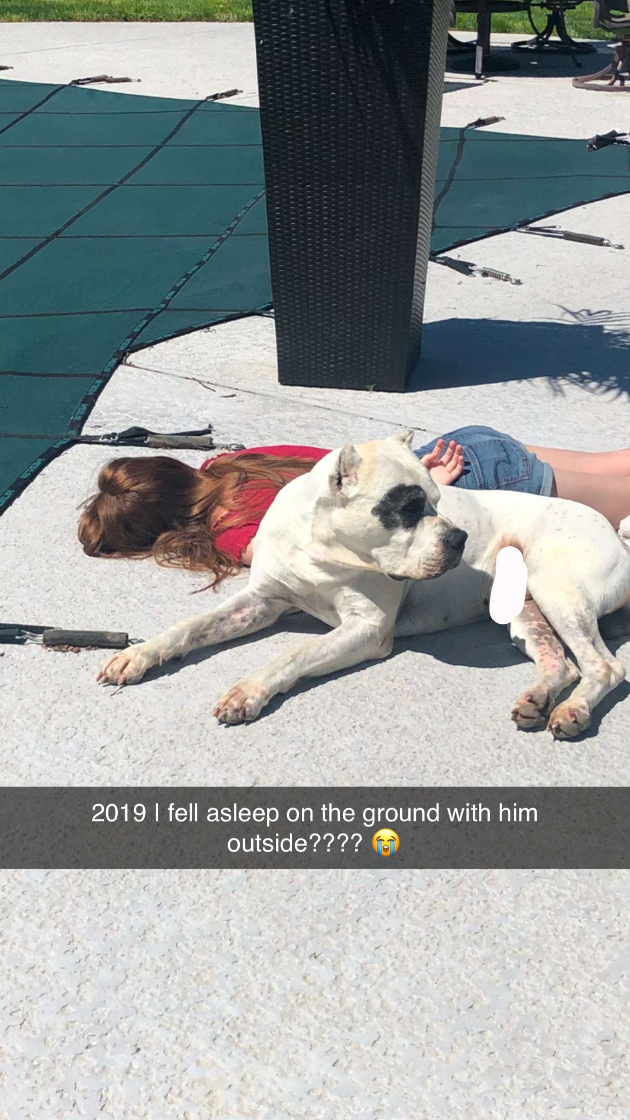 carmmieecat snapchat image archive image