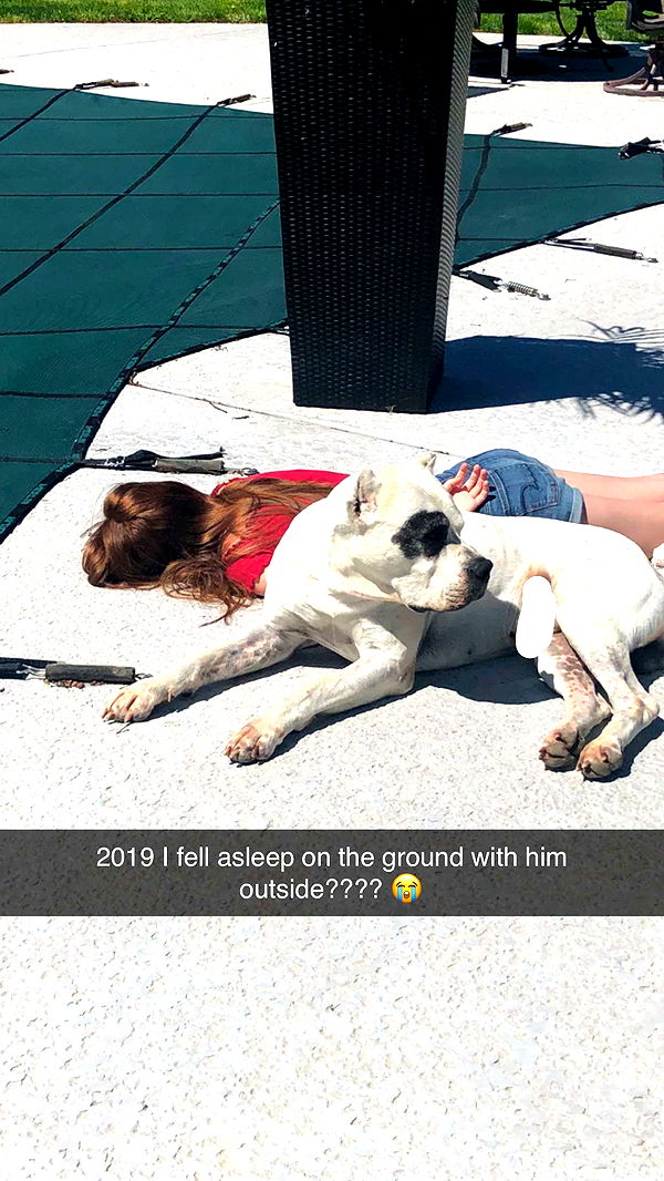 carmmieecat image ~ Altpins