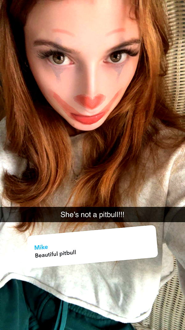 carmmieecat image ~ Altpins