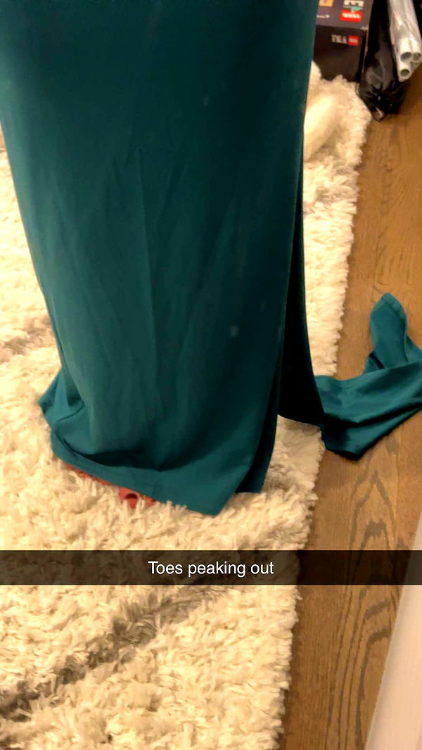 carmmieecat image ~ Altpins