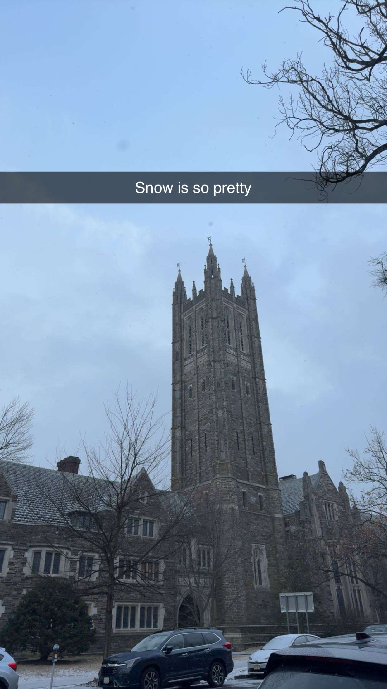 carmmieecat snapchat image archive image