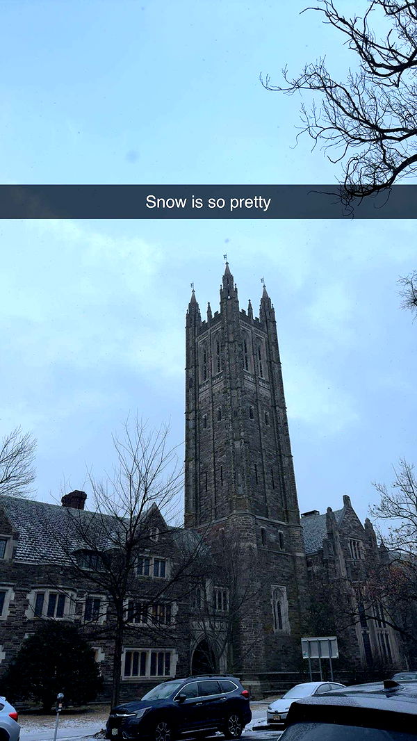 carmmieecat image ~ Altpins