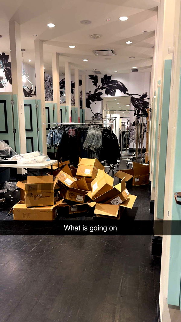 carmmieecat image ~ Altpins