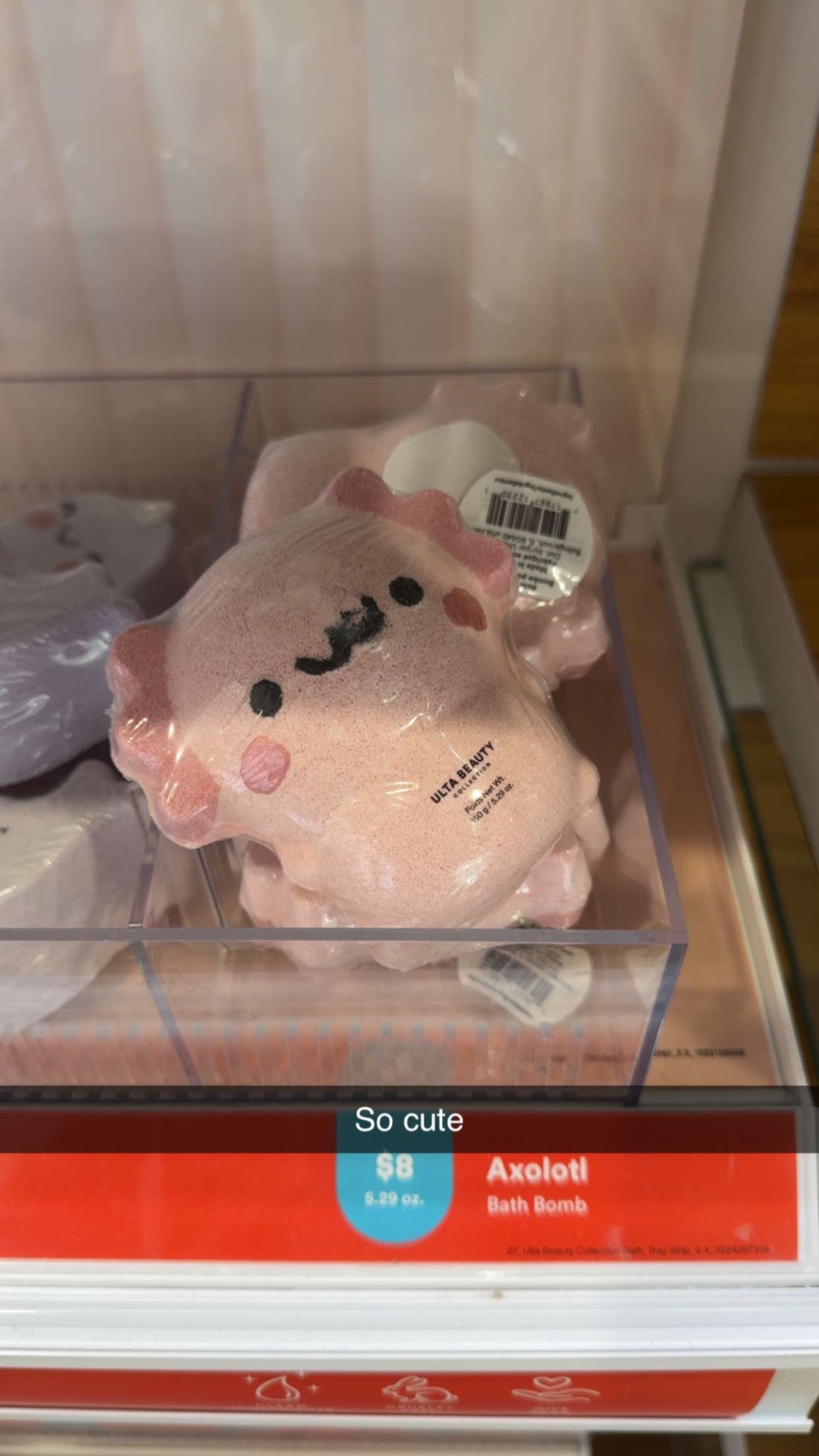 carmmieecat snapchat image archive image