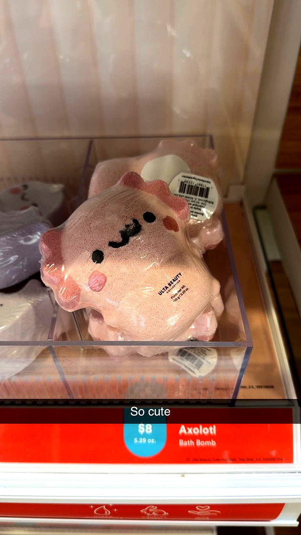 carmmieecat image ~ Altpins