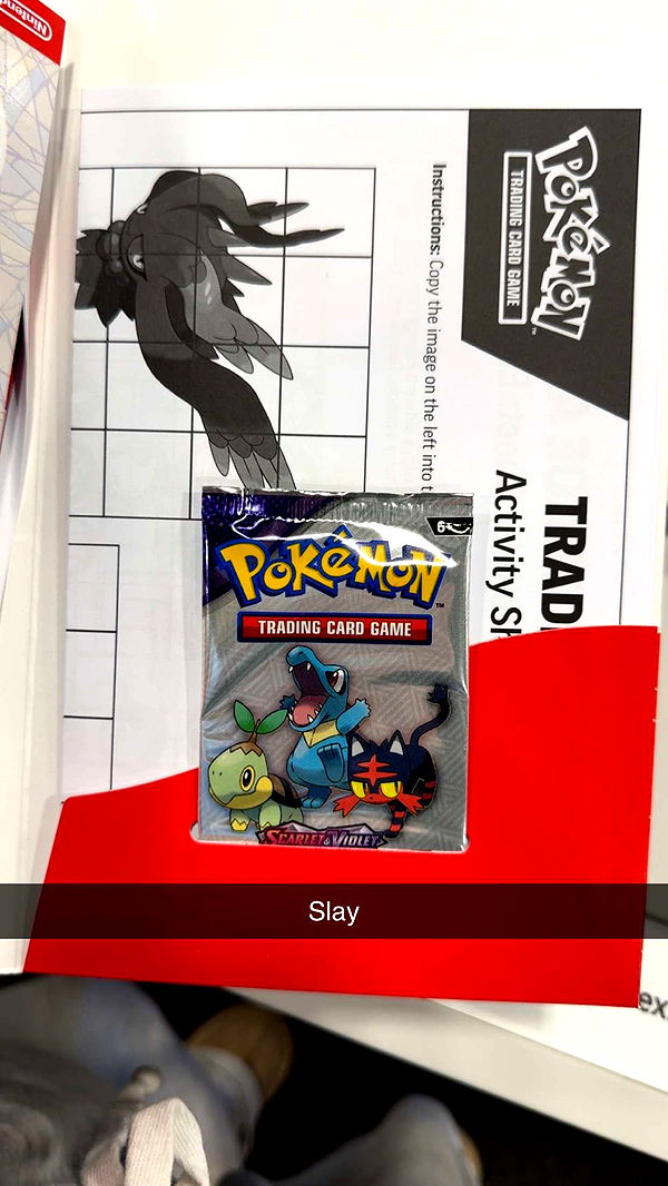 carmmieecat image ~ Altpins