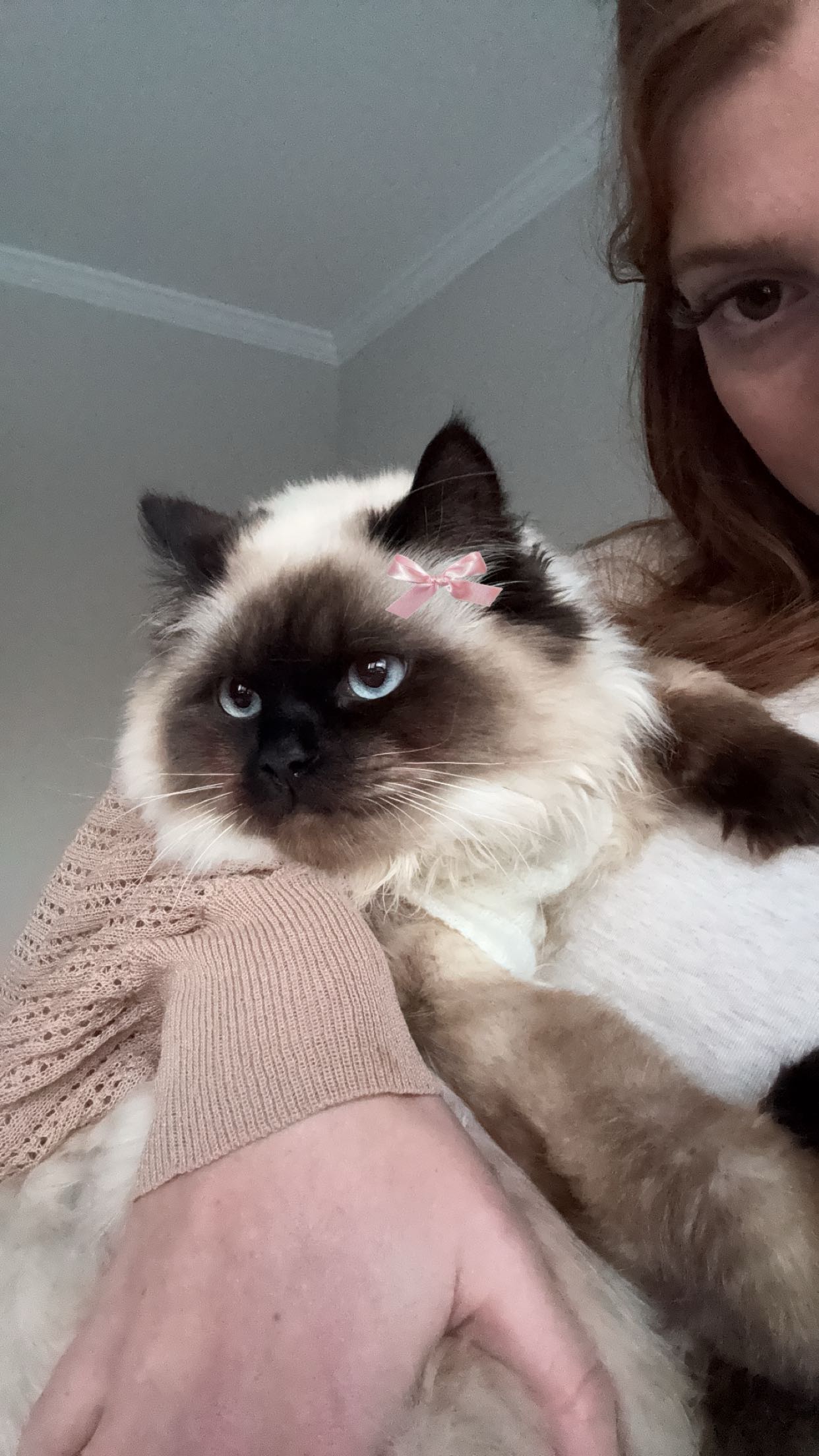 carmmieecat snapchat image archive image