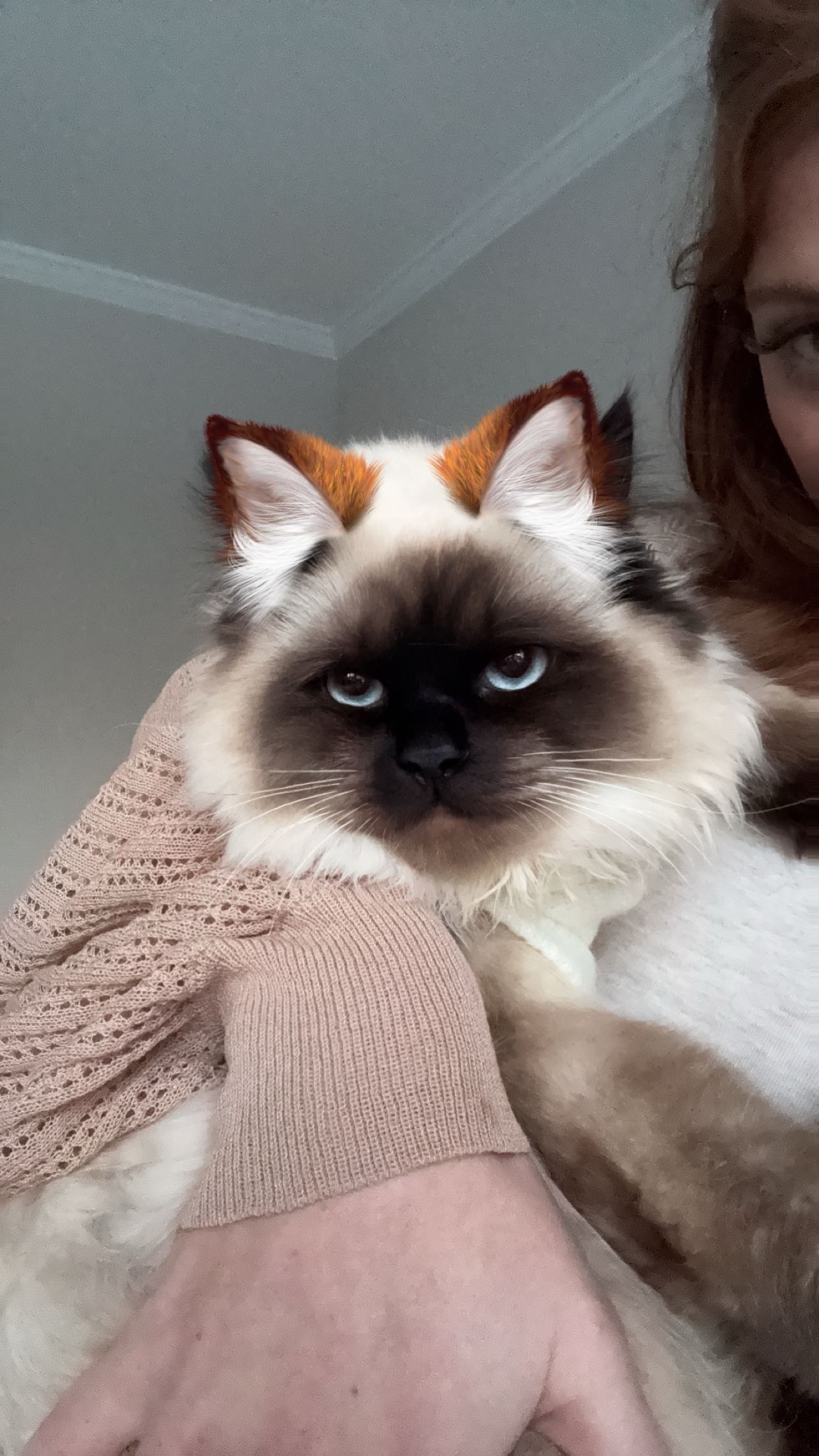 carmmieecat snapchat image archive image