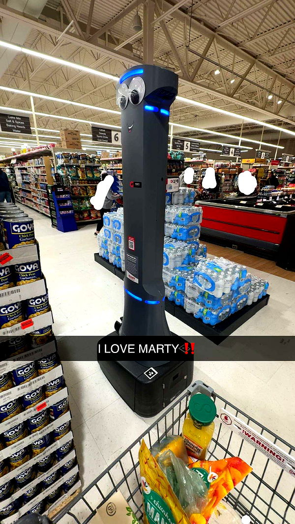 carmmieecat image ~ Altpins