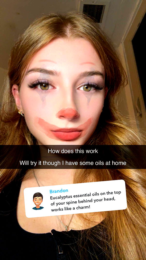 carmmieecat image ~ Altpins