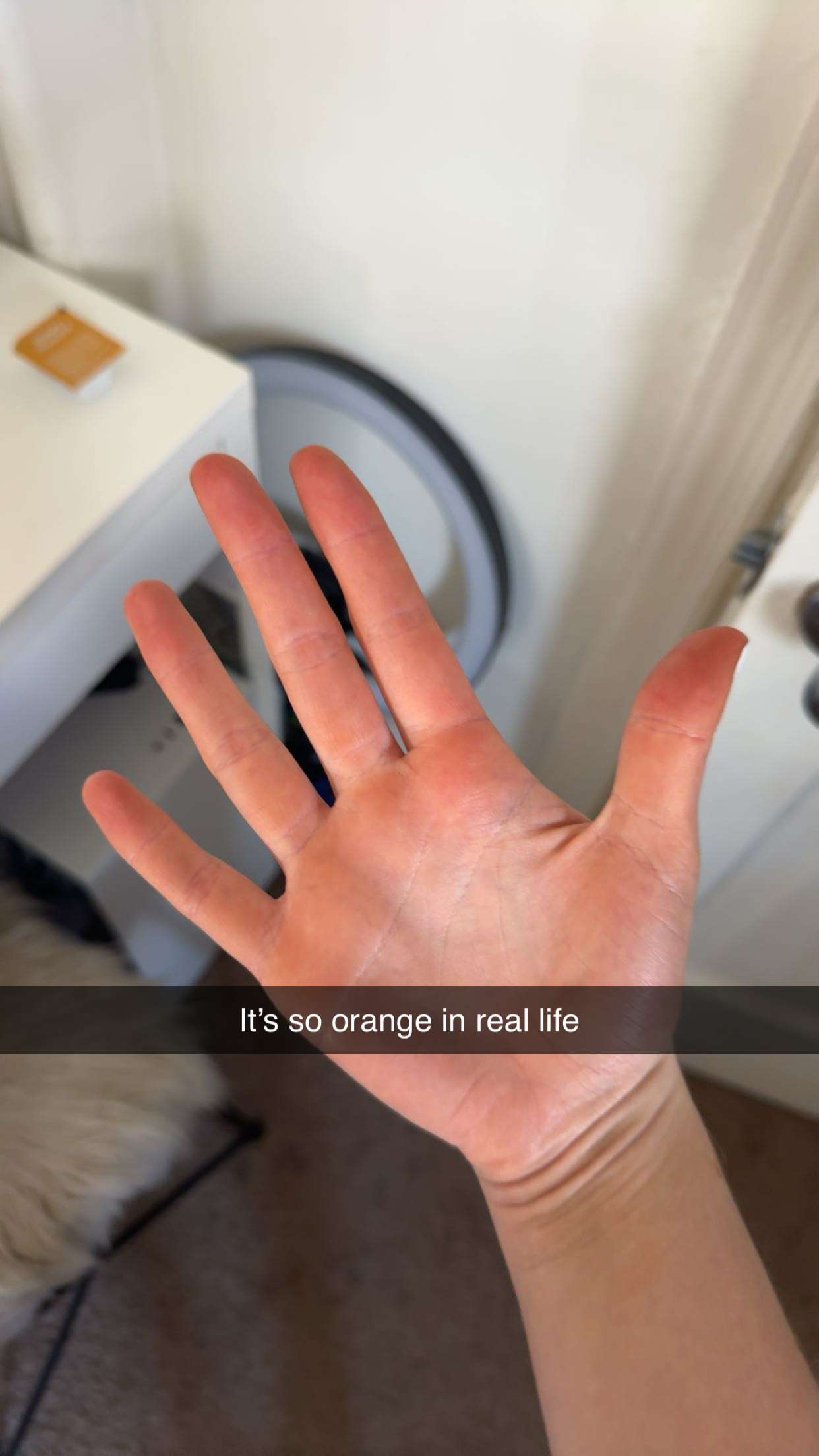 carmmieecat snapchat image archive image