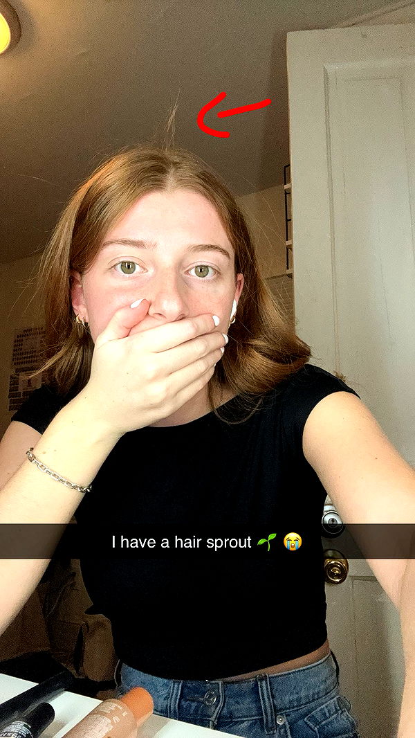 carmmieecat image ~ Altpins