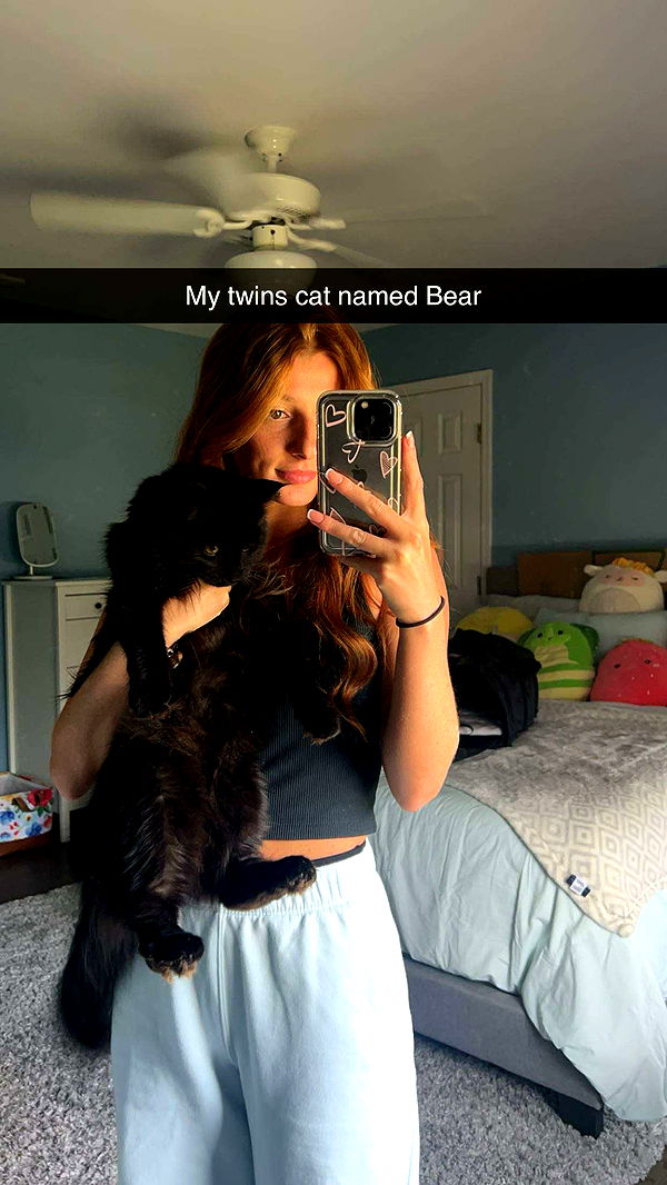 carmmieecat image ~ Altpins