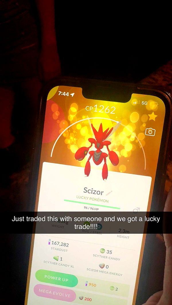 carmmieecat image ~ Altpins