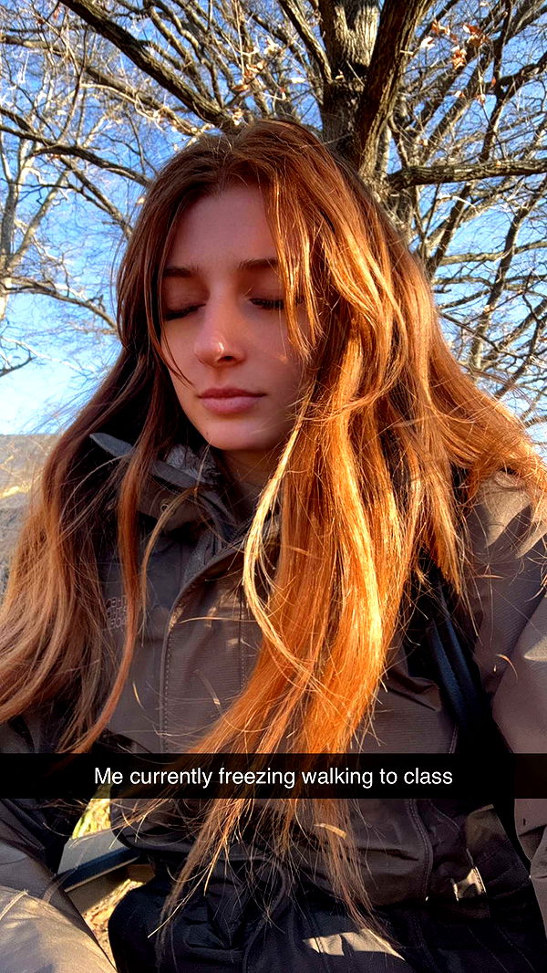 carmmieecat image ~ Altpins