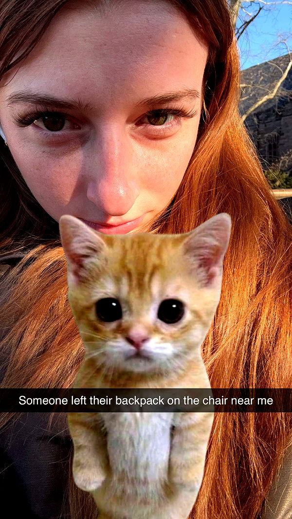 carmmieecat image ~ Altpins