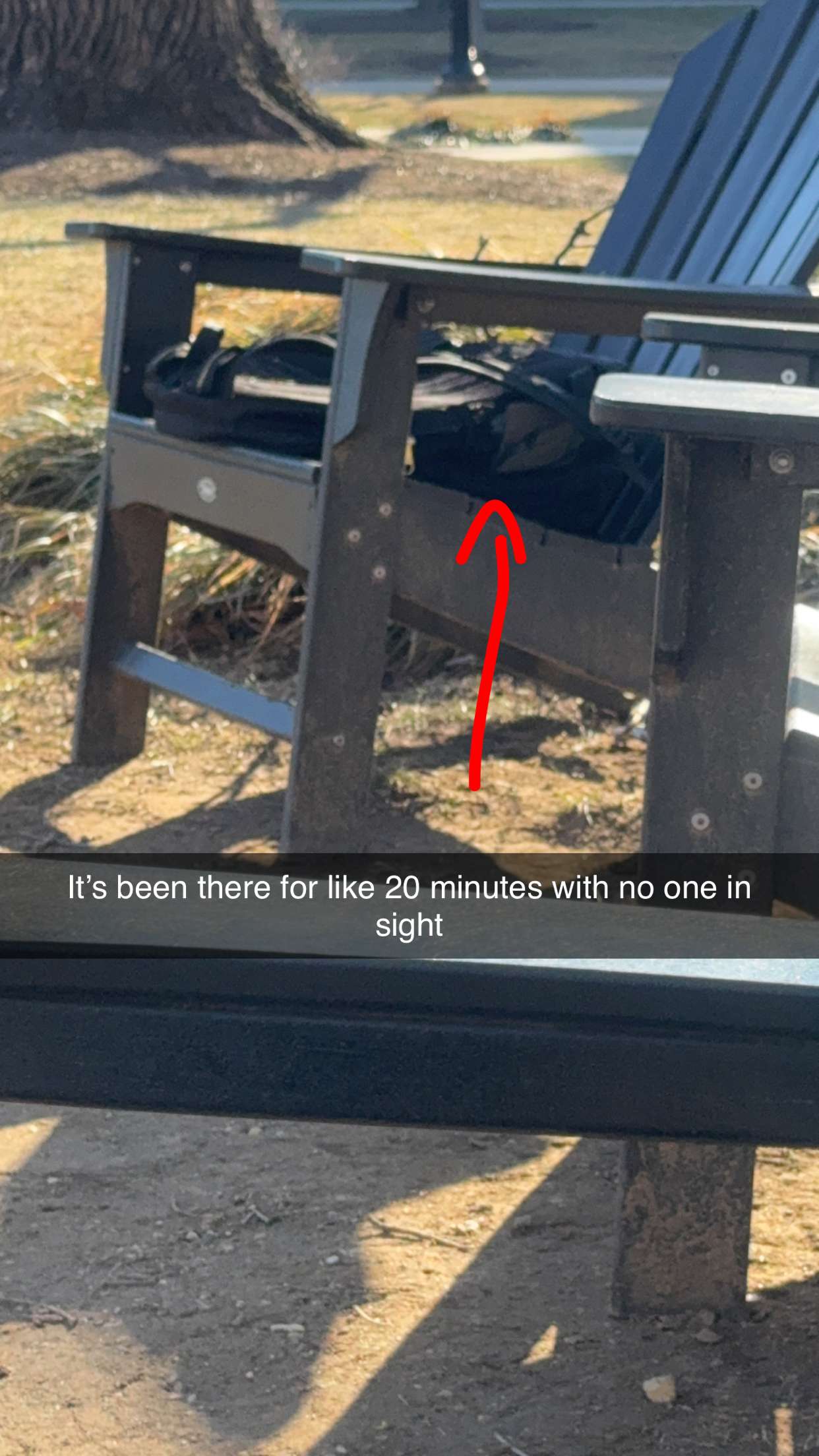 carmmieecat snapchat image archive image