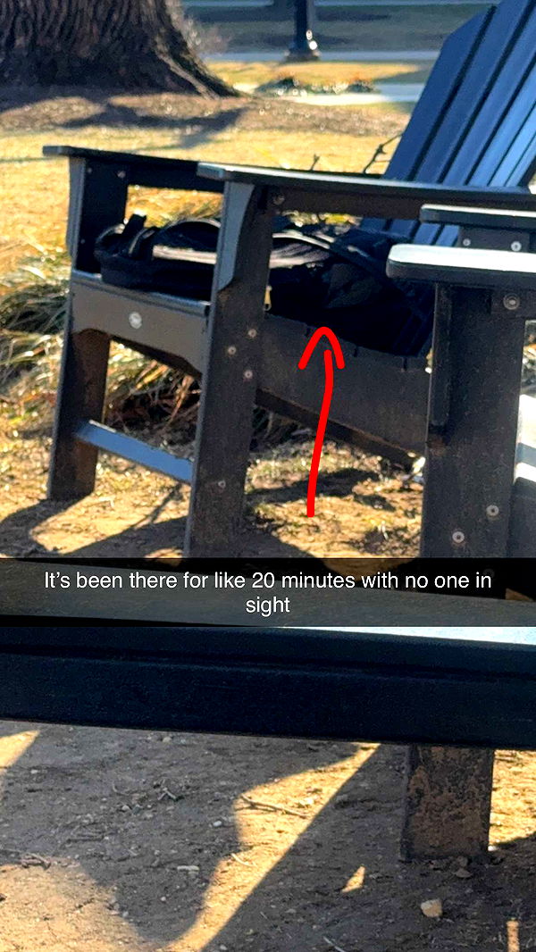 carmmieecat image ~ Altpins