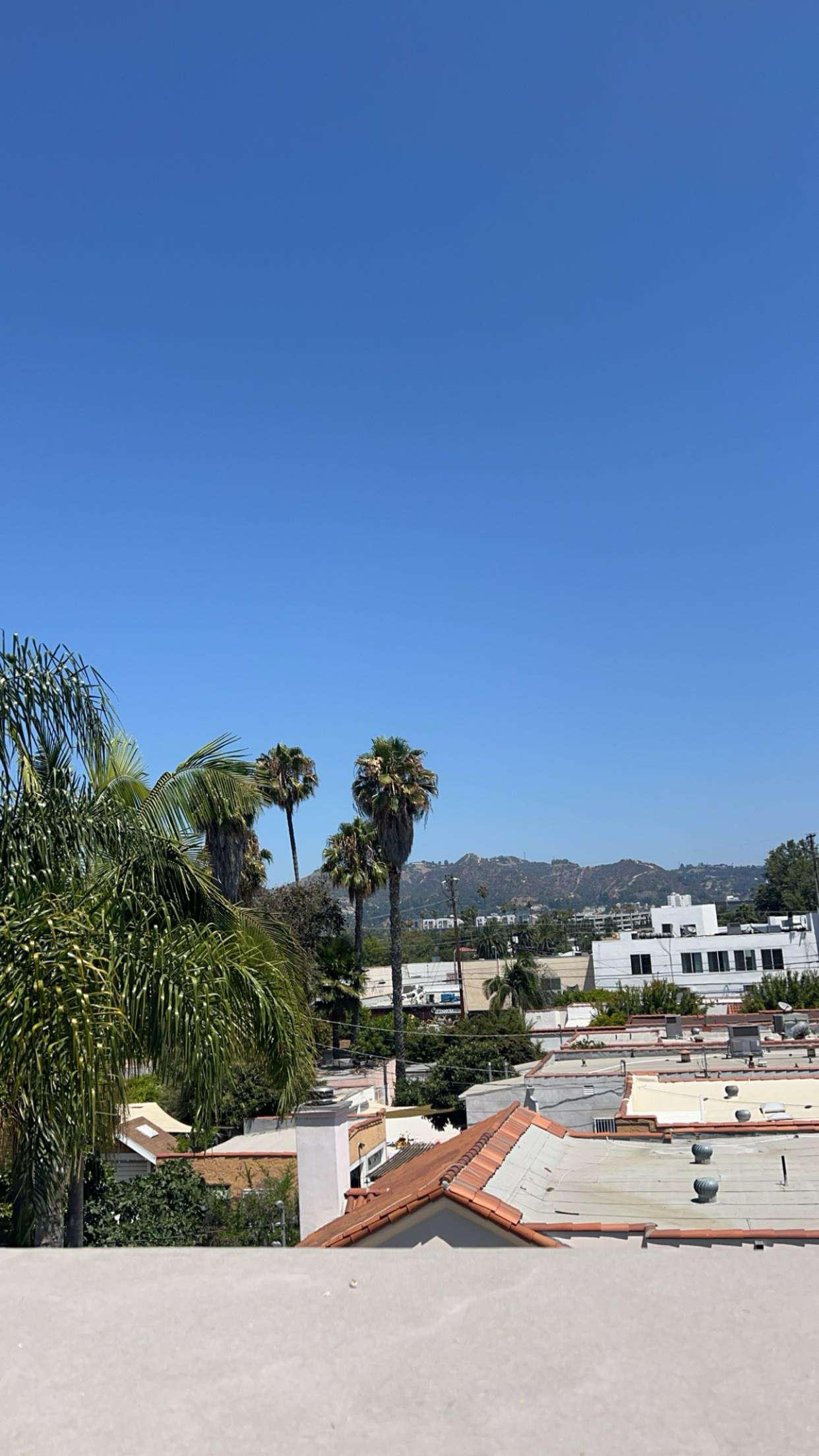 carmmieecat snapchat image archive image