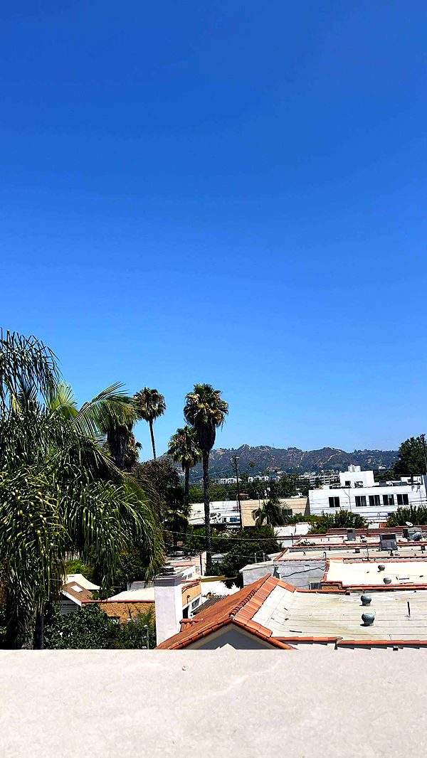 carmmieecat image ~ Altpins