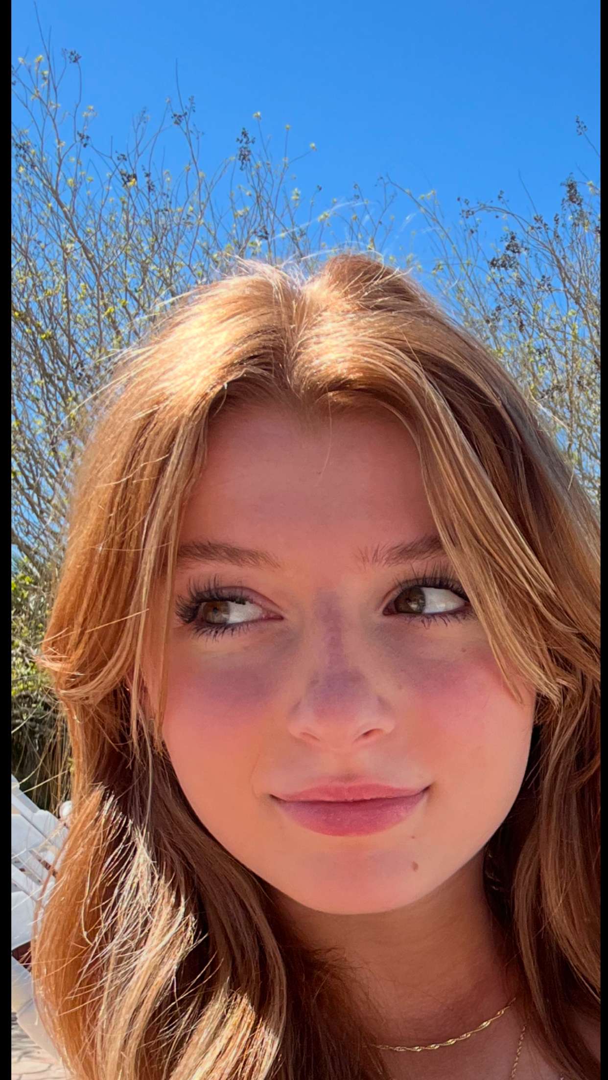 carmmieecat snapchat image archive image