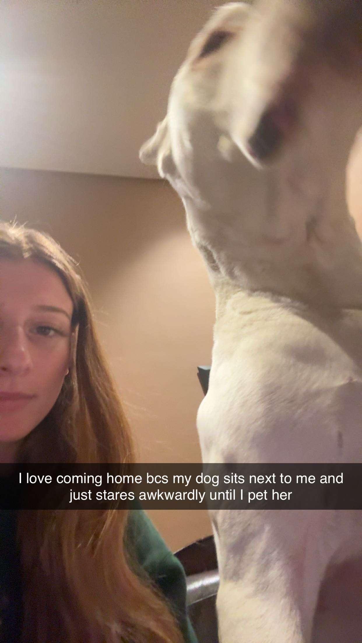 carmmieecat snapchat image archive image