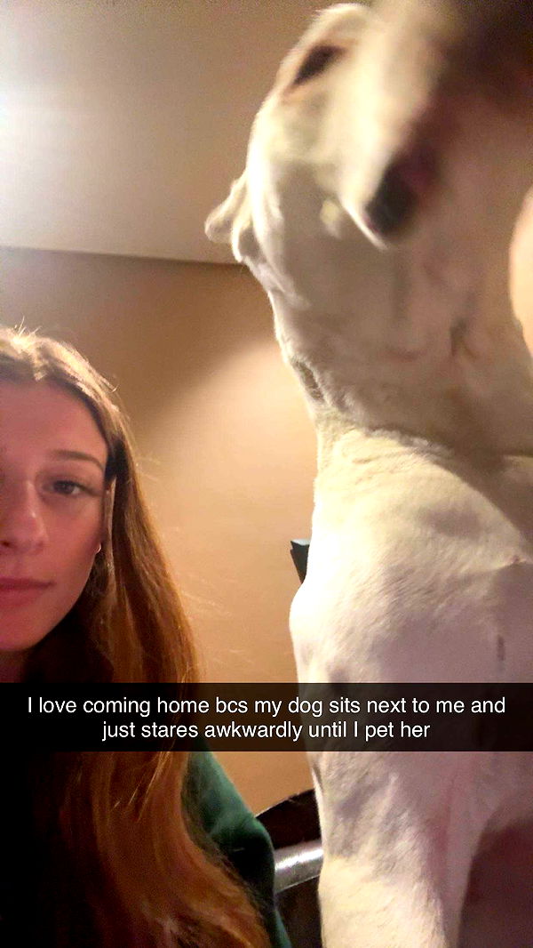 carmmieecat image ~ Altpins