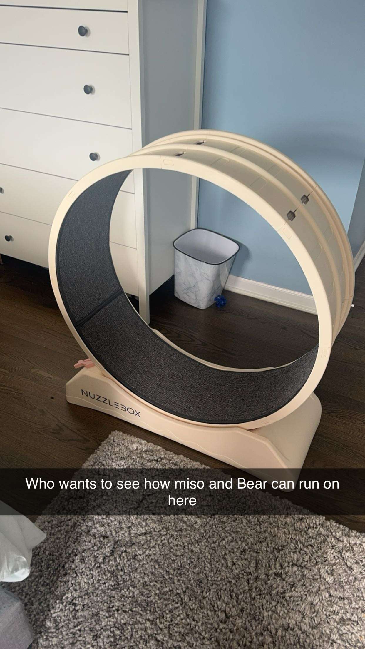 carmmieecat snapchat image archive image