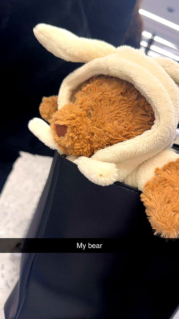 carmmieecat image ~ Altpins