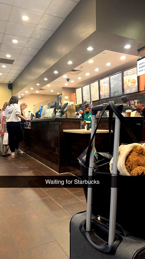 carmmieecat image ~ Altpins