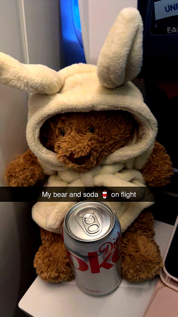 carmmieecat image ~ Altpins