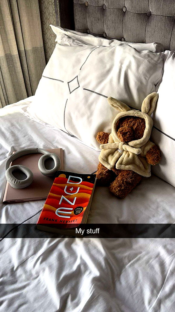 carmmieecat image ~ Altpins