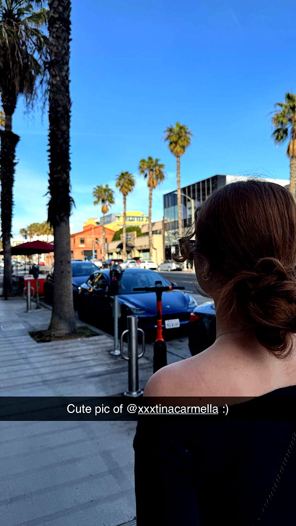 carmmieecat image ~ Altpins