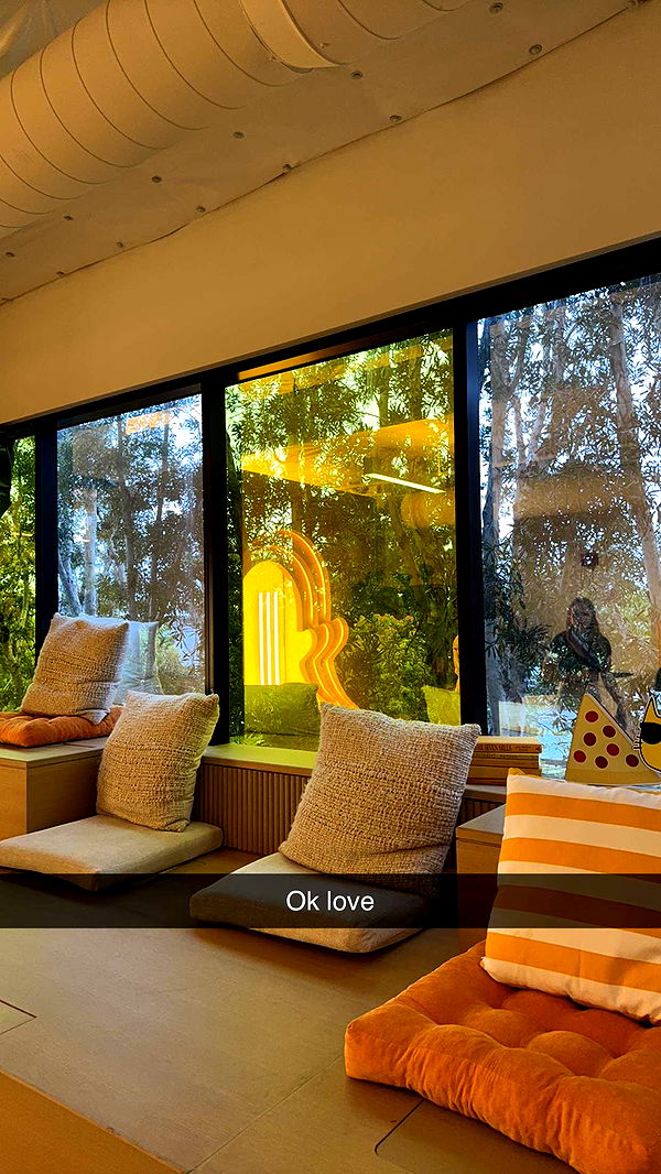 carmmieecat image ~ Altpins