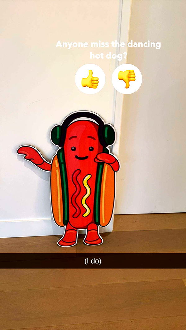 carmmieecat image ~ Altpins