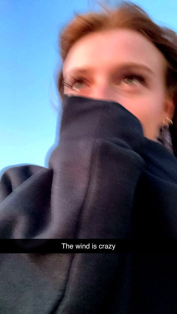 carmmieecat image ~ Altpins