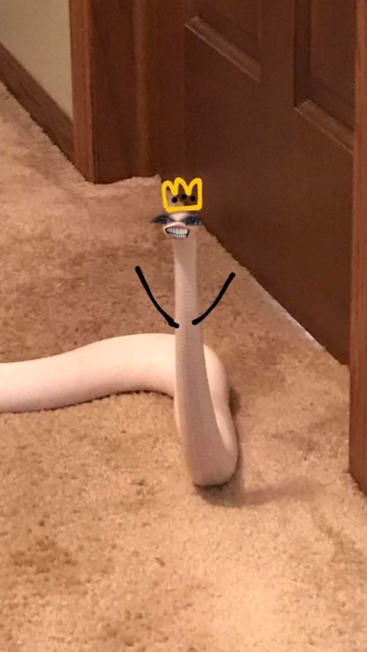 carmmieecat snapchat image archive image