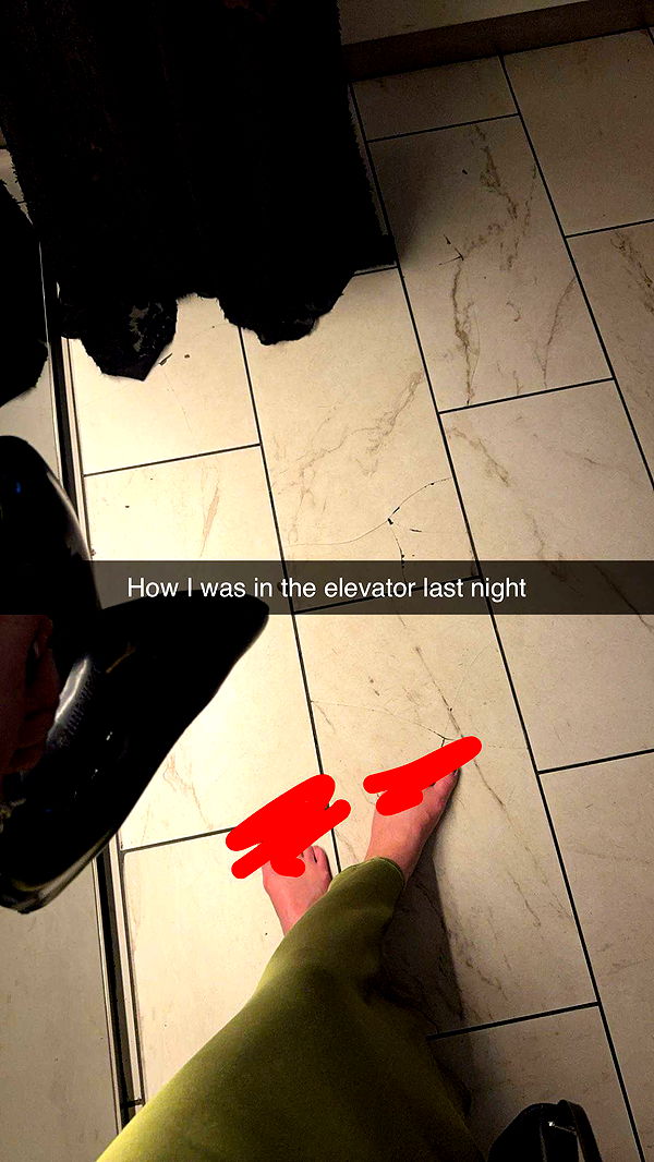 carmmieecat image ~ Altpins