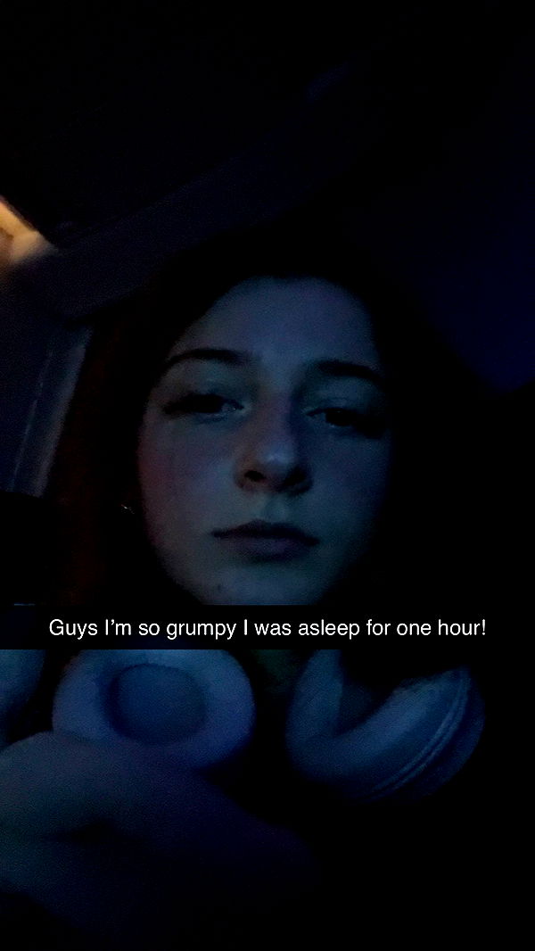 carmmieecat image ~ Altpins