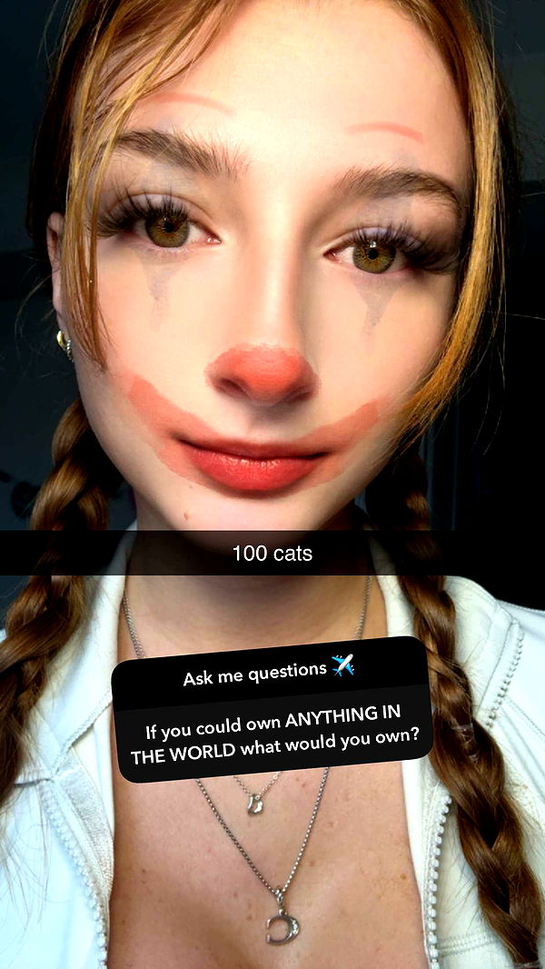 carmmieecat image ~ Altpins