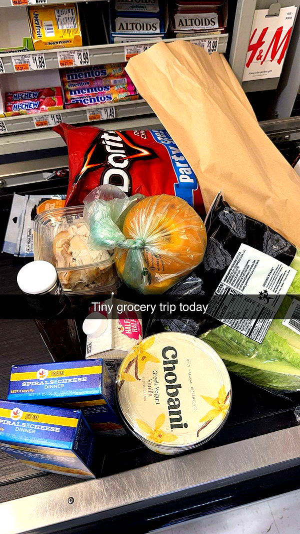 carmmieecat image ~ Altpins