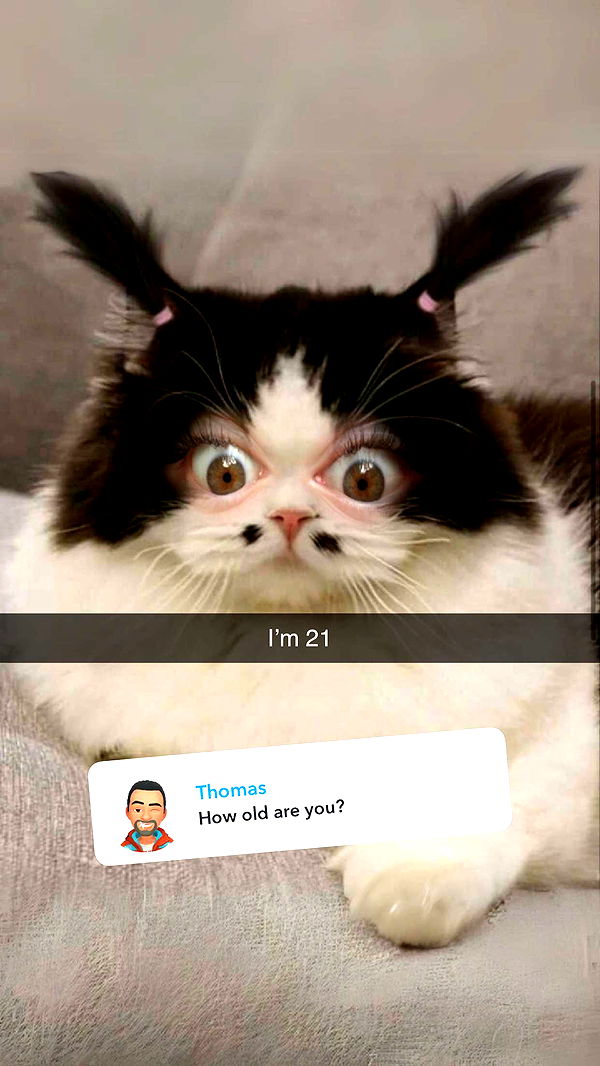 carmmieecat image ~ Altpins