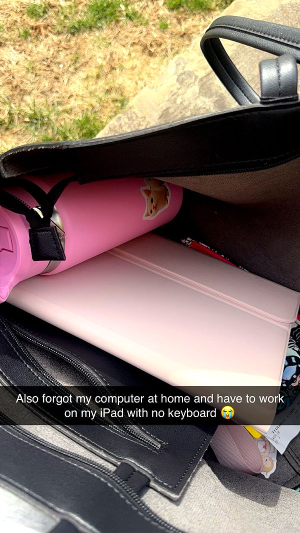 carmmieecat image ~ Altpins