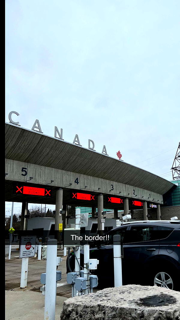 carmmieecat image ~ Altpins