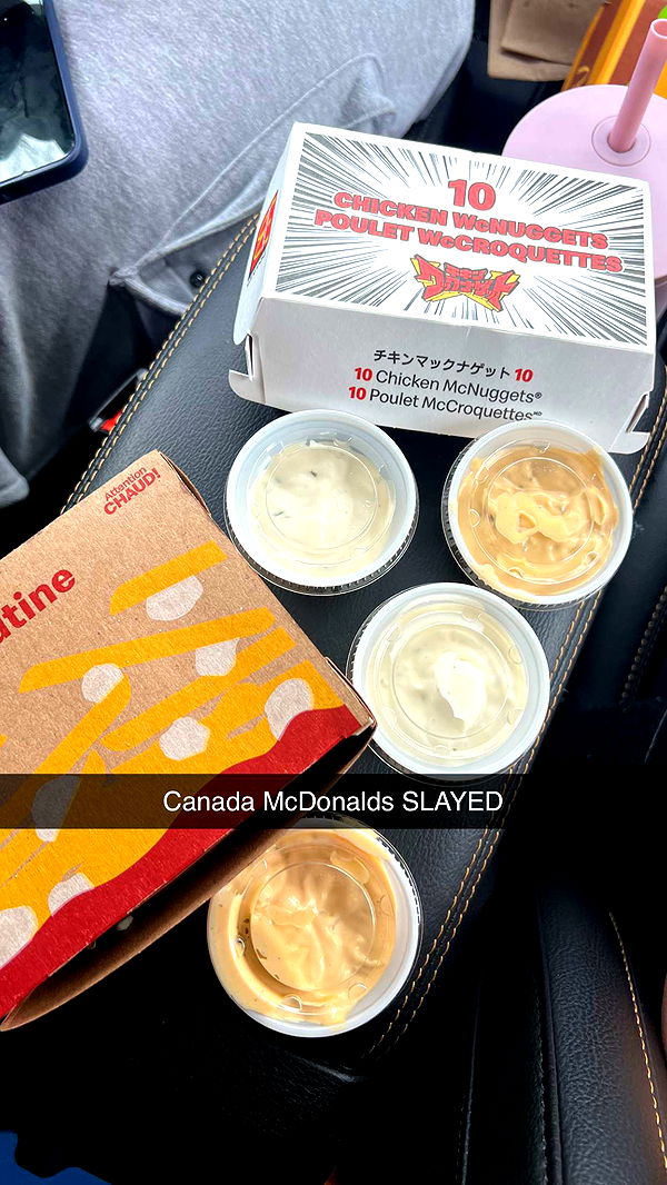 carmmieecat image ~ Altpins