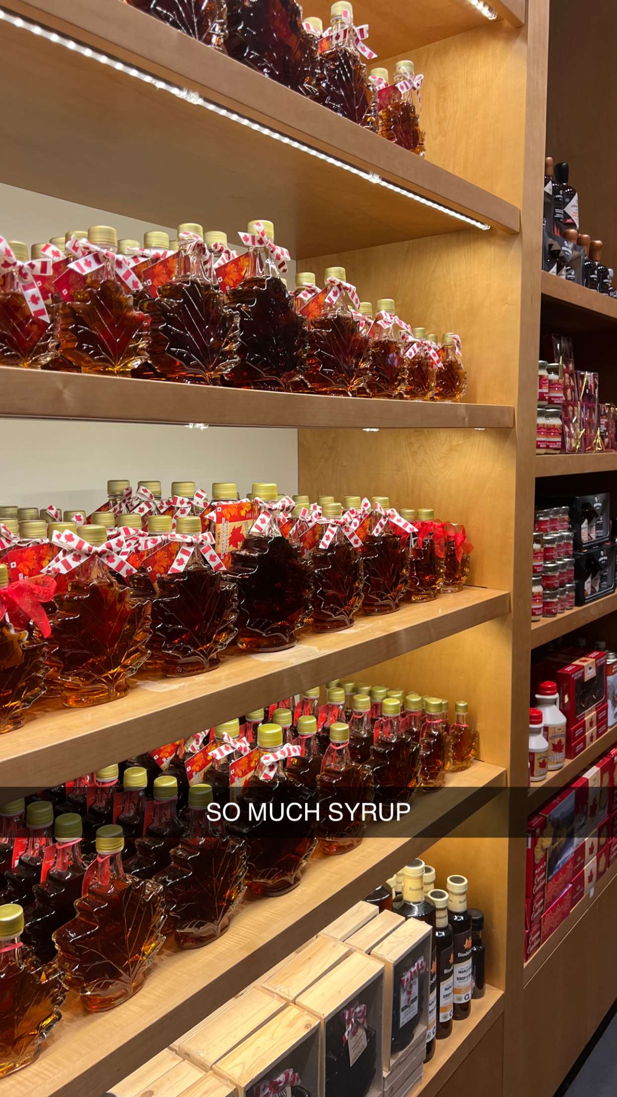 carmmieecat snapchat image archive image