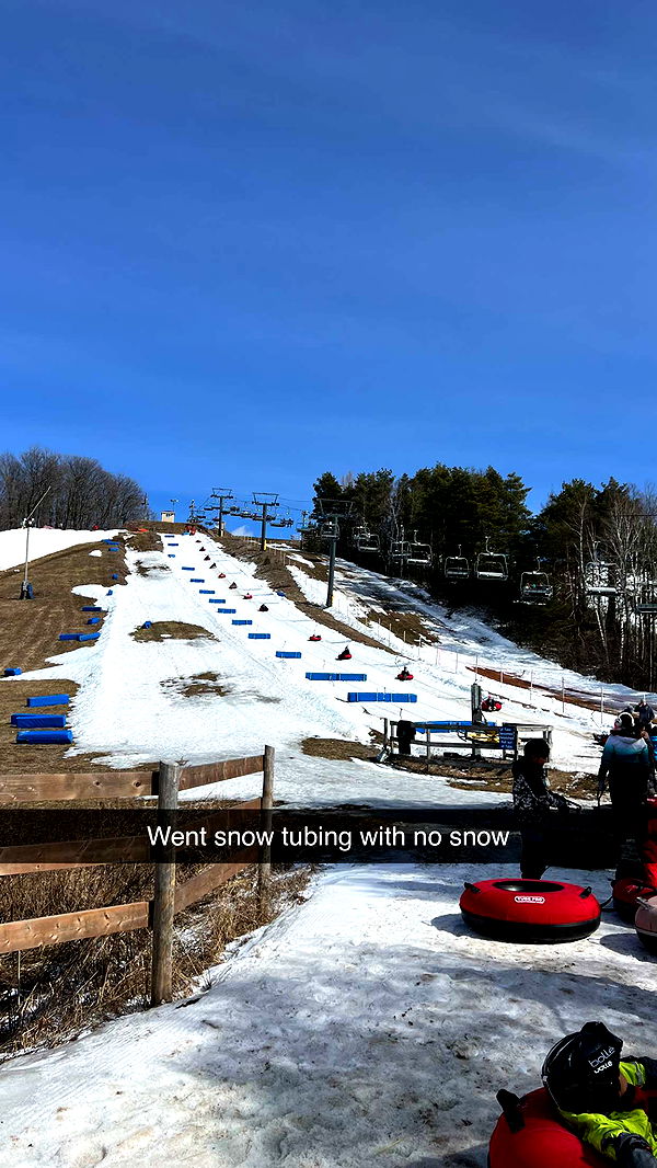 carmmieecat image ~ Altpins