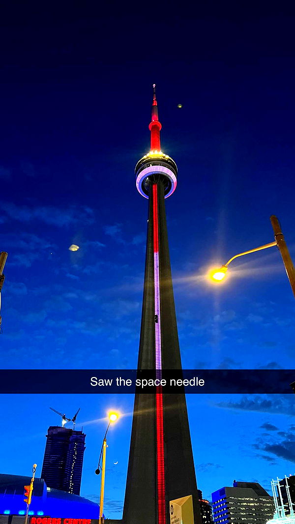 carmmieecat image ~ Altpins